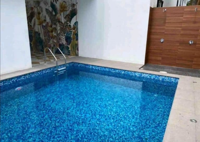 Isurus Pool 2