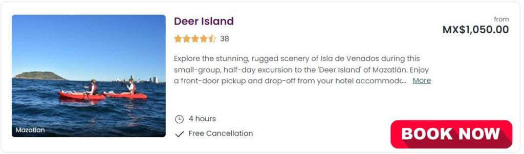 deer island kayak tour