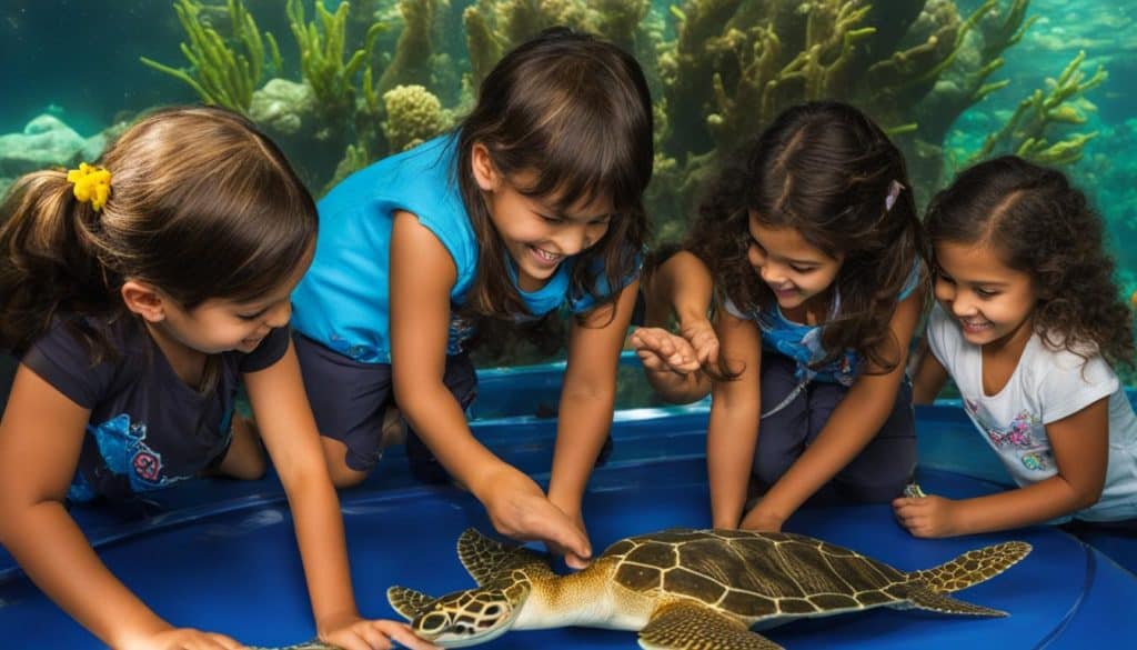 Mazatlan Aquarium Kids Activities