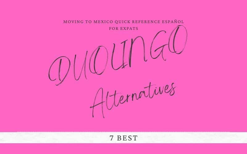 7 Best Duolingo Alternatives