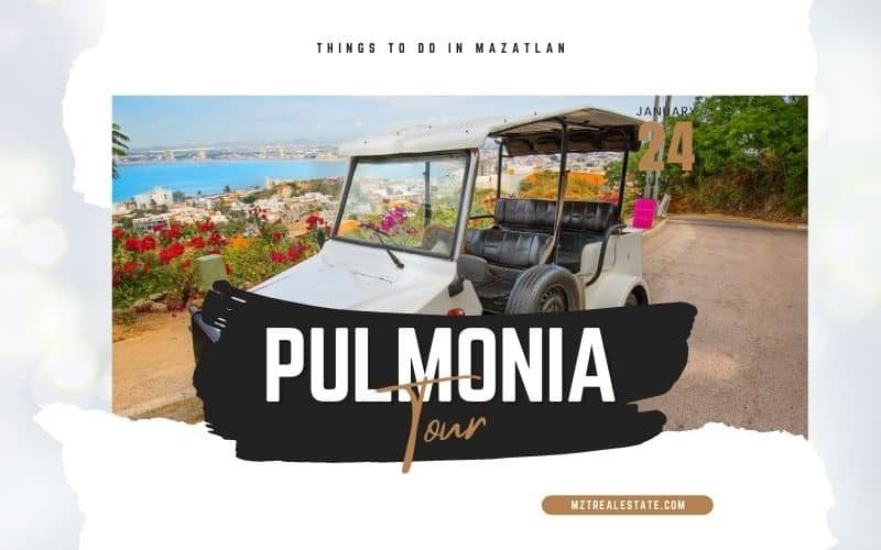 Book A Pulmonia Tour In Mazatlan And Don’t Miss Out On The Fun!