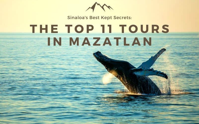 Top 11 Tours Mazatlan